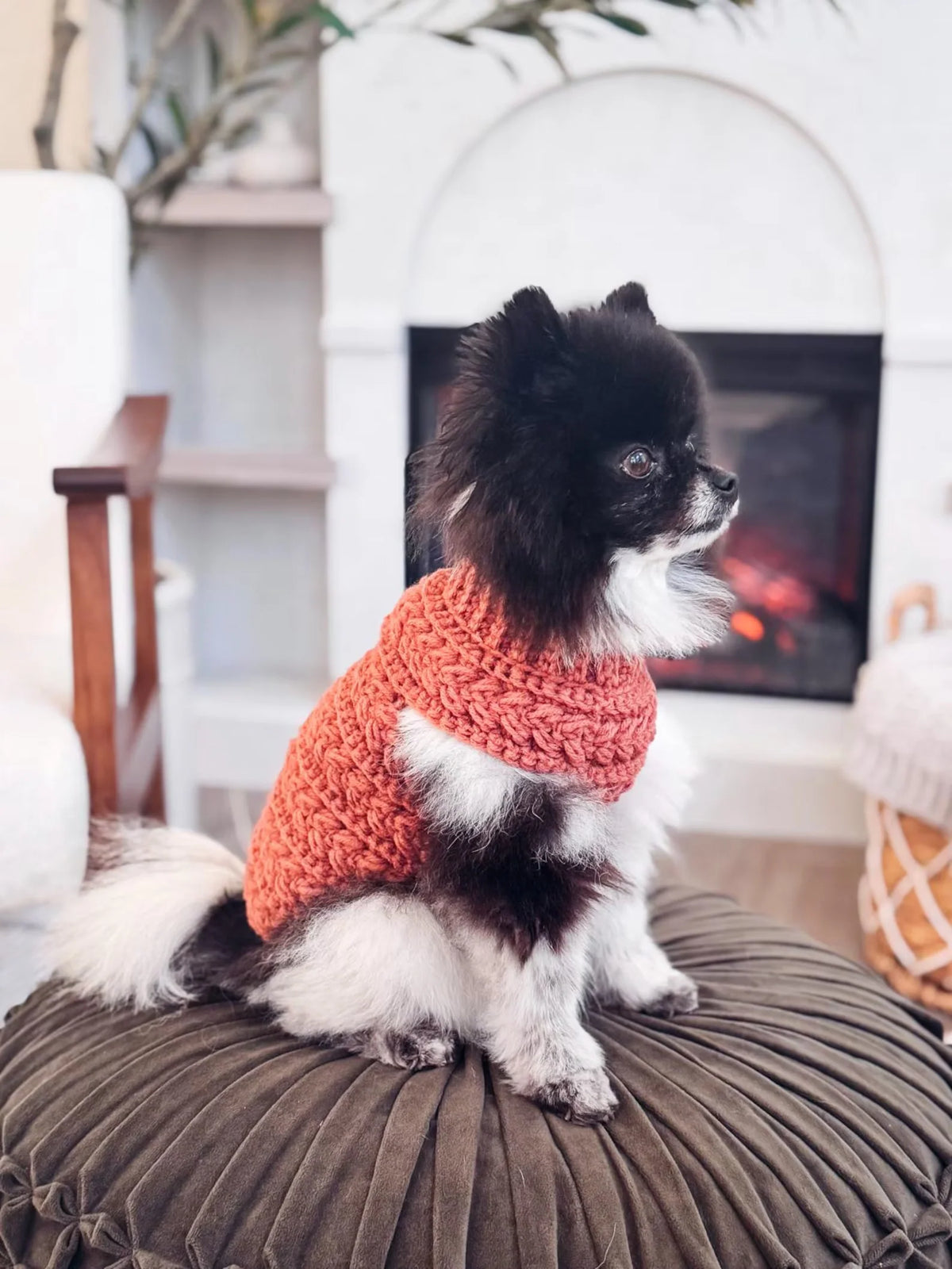 Close-up of the wheat stitch texture on the crochet dog sweater