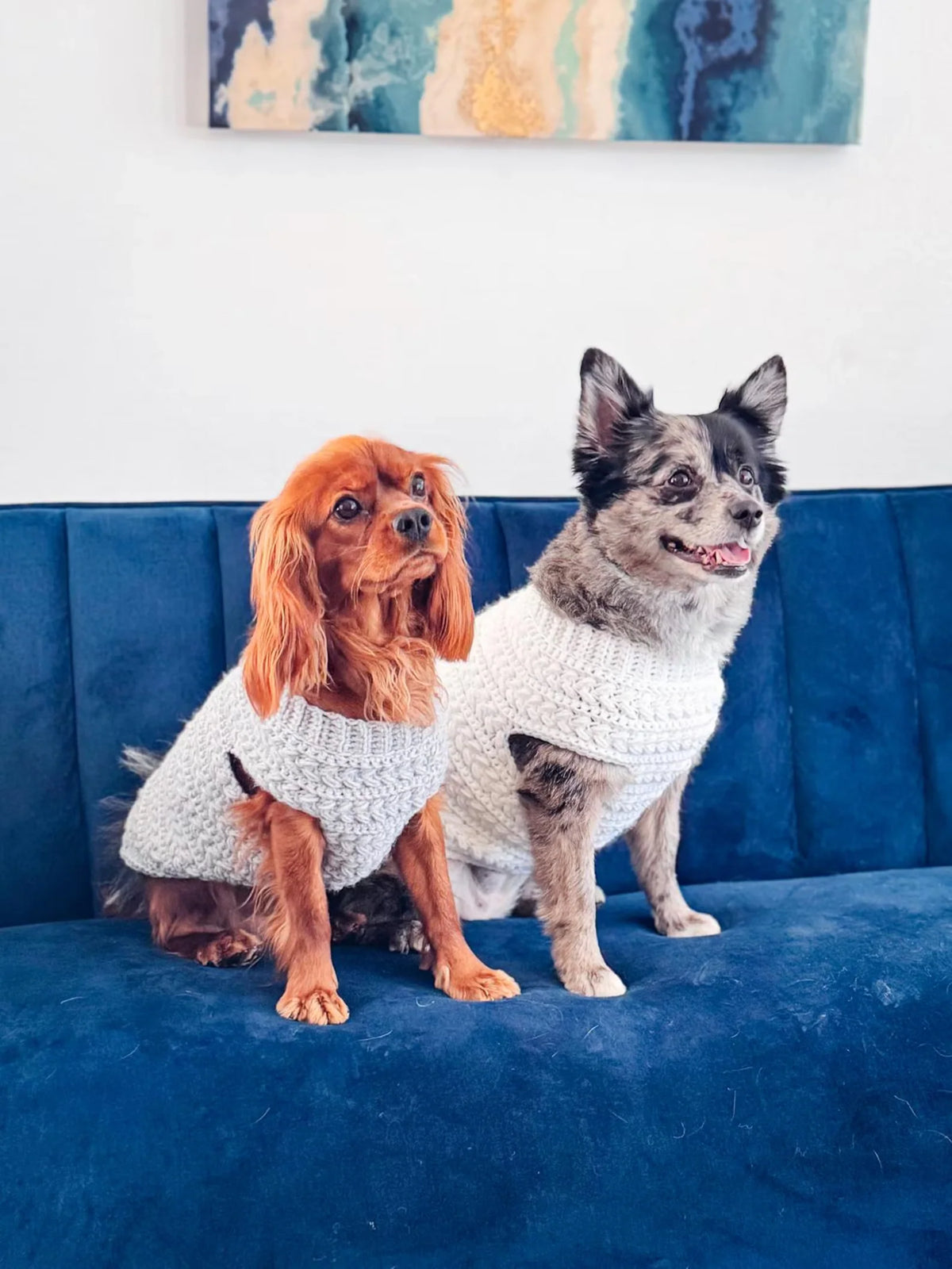 Dog wearing a crocheted sweater outdoors on a chilly walk