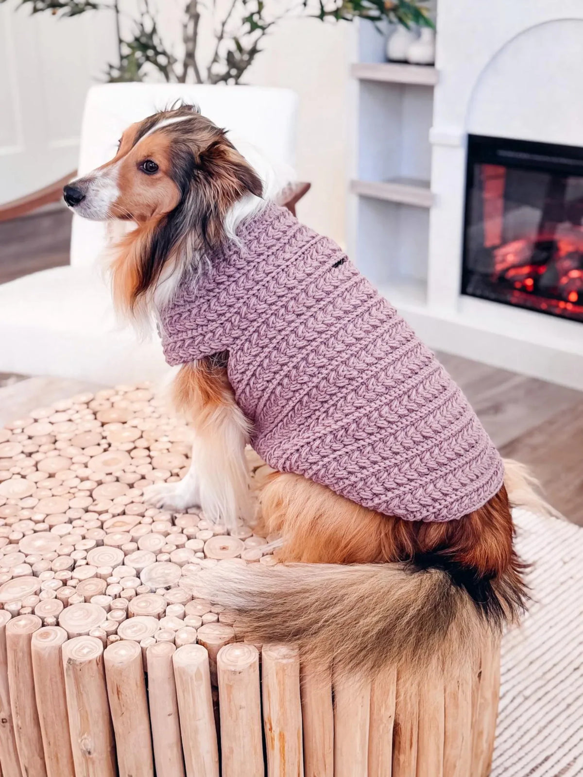 Small dog in a handmade crochet sweater sitting indoors