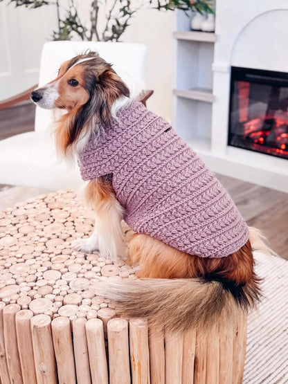 Small dog in a handmade crochet sweater sitting indoors