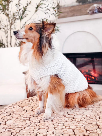 Crochet dog sweater on a medium-sized dog