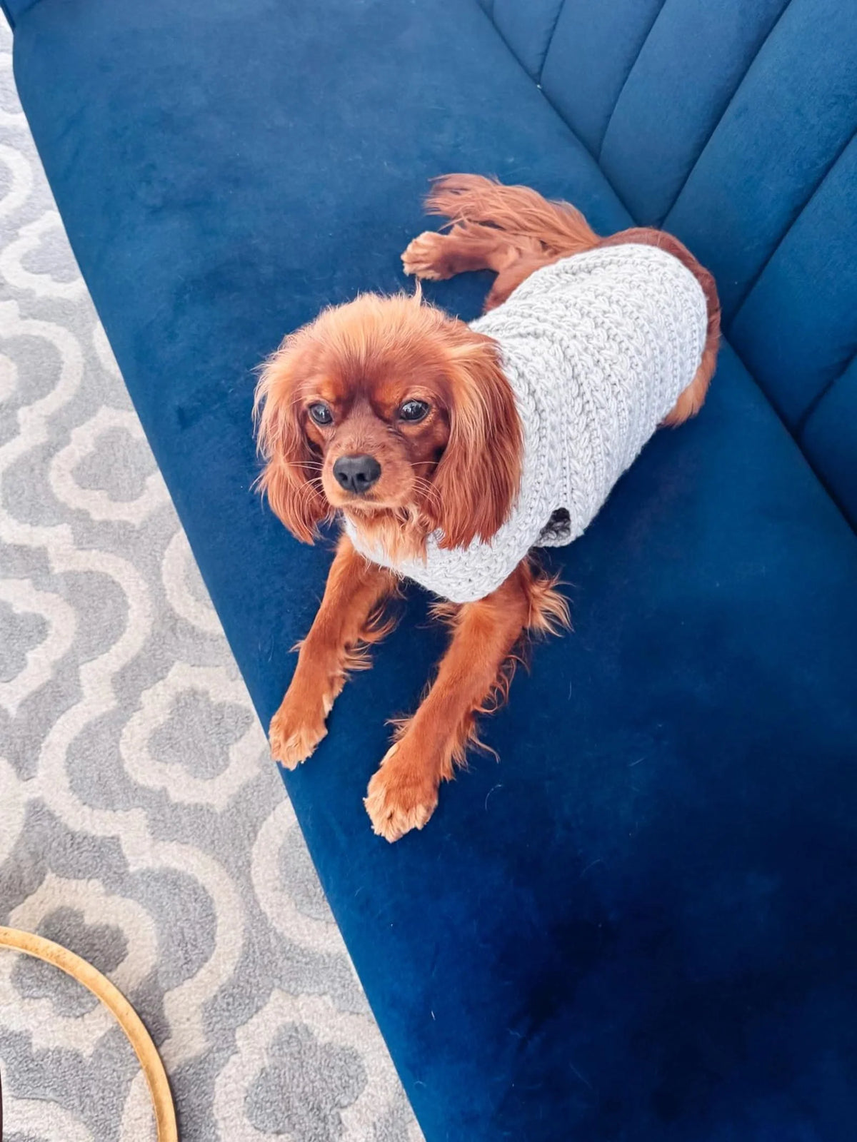 Dog sweater crochet pattern size overview for 8 sizes